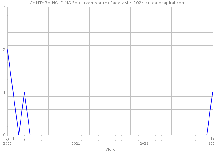 CANTARA HOLDING SA (Luxembourg) Page visits 2024 