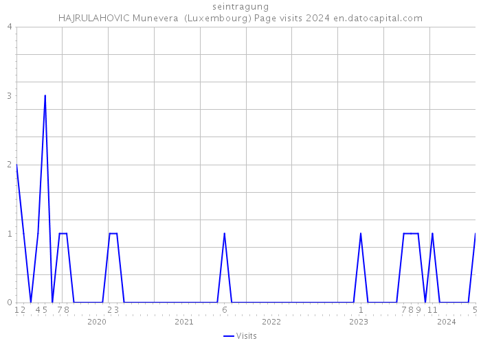 seintragung HAJRULAHOVIC Munevera (Luxembourg) Page visits 2024 