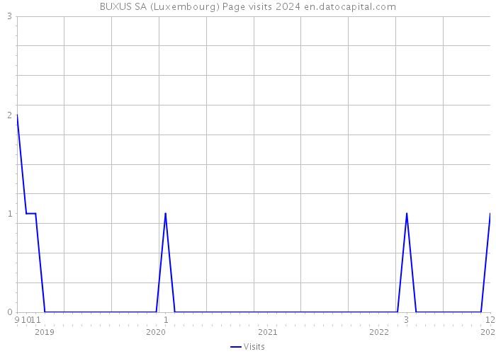 BUXUS SA (Luxembourg) Page visits 2024 