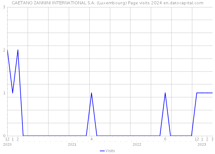 GAETANO ZANNINI INTERNATIONAL S.A. (Luxembourg) Page visits 2024 