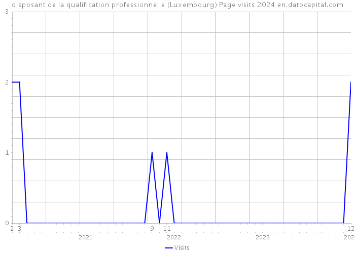 disposant de la qualification professionnelle (Luxembourg) Page visits 2024 