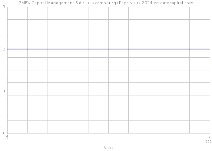 ZMEX Capital Management S.à r.l (Luxembourg) Page visits 2024 