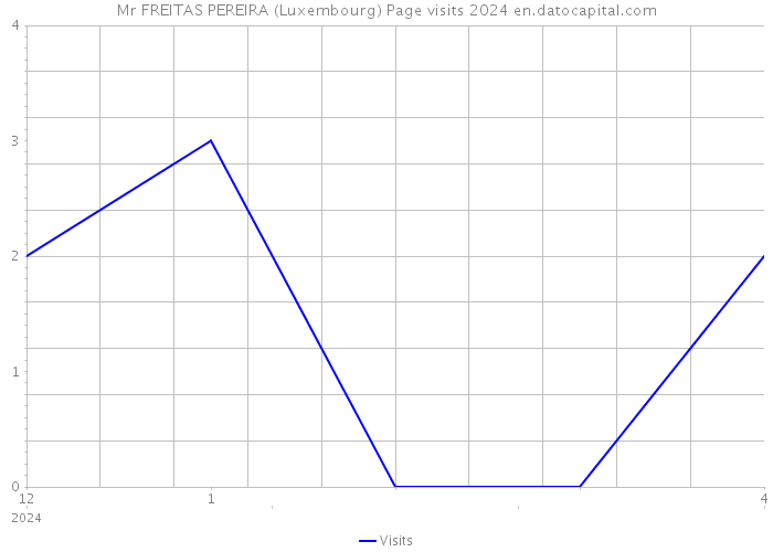 Mr FREITAS PEREIRA (Luxembourg) Page visits 2024 