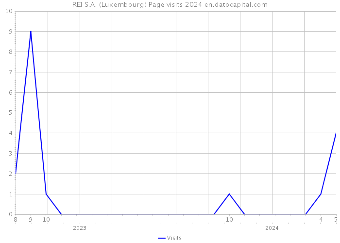 REI S.A. (Luxembourg) Page visits 2024 
