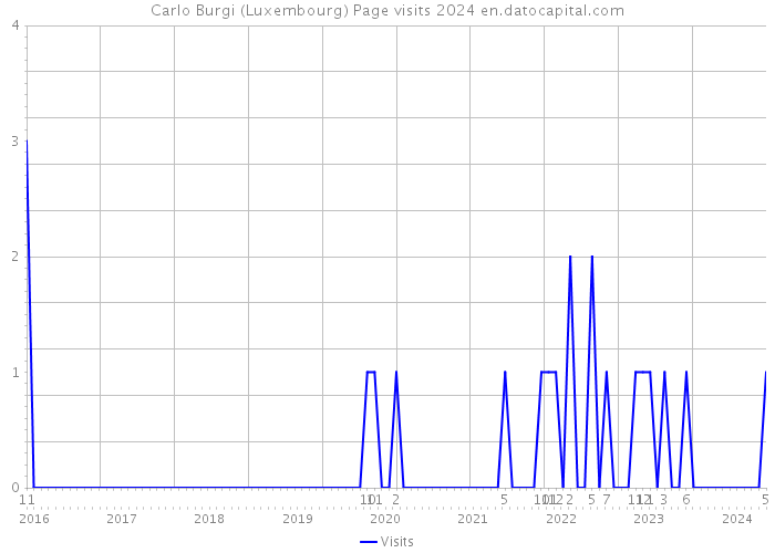 Carlo Burgi (Luxembourg) Page visits 2024 