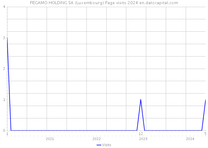 PEGAMO HOLDING SA (Luxembourg) Page visits 2024 