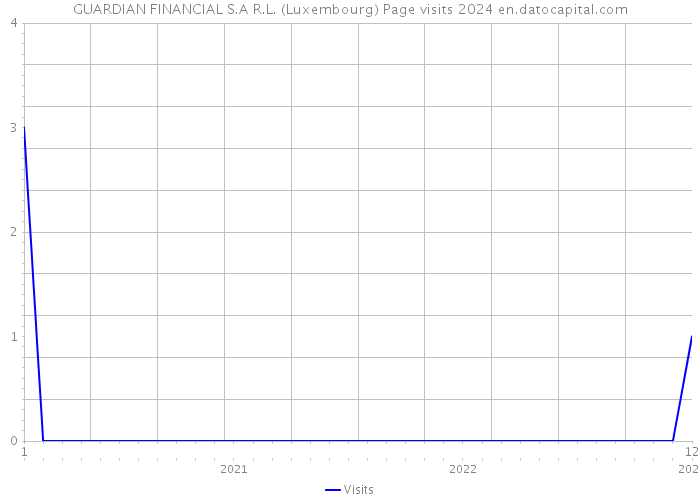 GUARDIAN FINANCIAL S.A R.L. (Luxembourg) Page visits 2024 