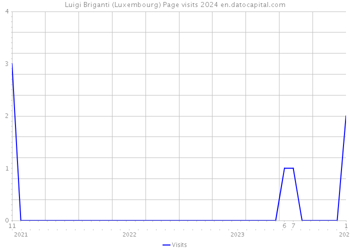 Luigi Briganti (Luxembourg) Page visits 2024 
