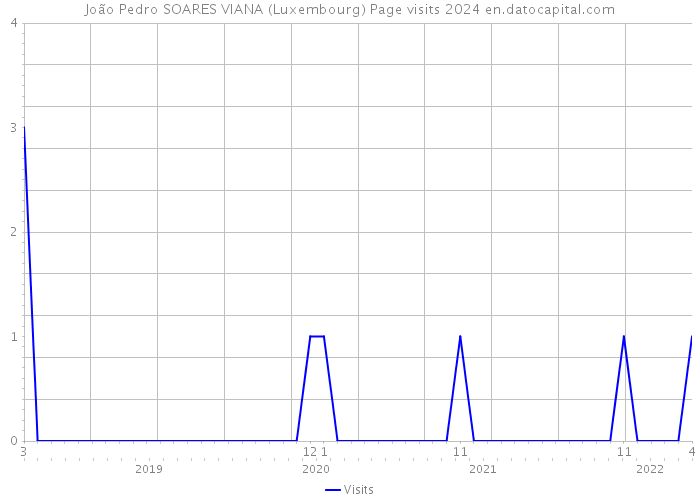 João Pedro SOARES VIANA (Luxembourg) Page visits 2024 