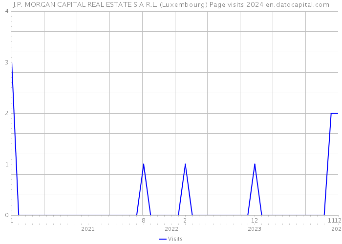 J.P. MORGAN CAPITAL REAL ESTATE S.A R.L. (Luxembourg) Page visits 2024 
