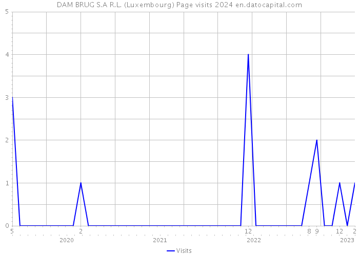 DAM BRUG S.A R.L. (Luxembourg) Page visits 2024 