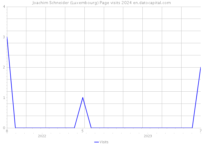 Joachim Schneider (Luxembourg) Page visits 2024 