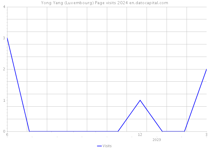 Yong Yang (Luxembourg) Page visits 2024 