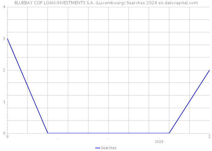 BLUEBAY COF LOAN INVESTMENTS S.A. (Luxembourg) Searches 2024 