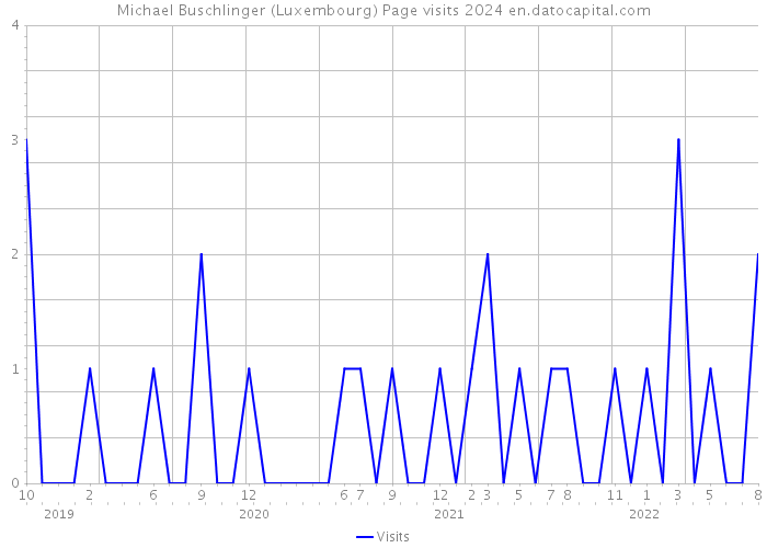 Michael Buschlinger (Luxembourg) Page visits 2024 