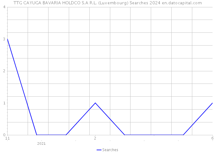 TTG CAYUGA BAVARIA HOLDCO S.A R.L. (Luxembourg) Searches 2024 