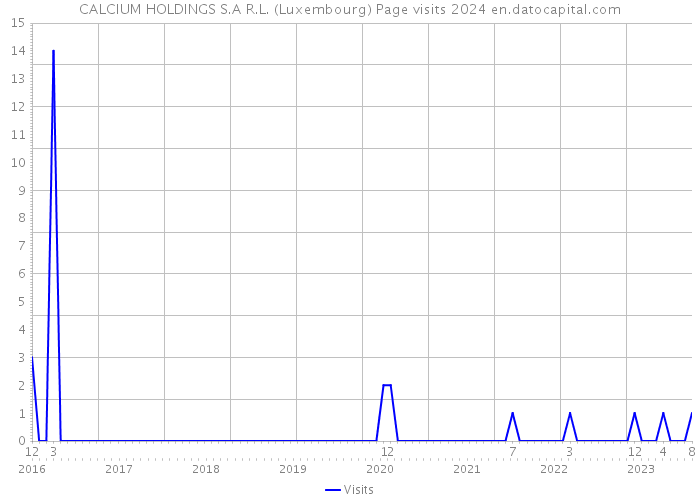 CALCIUM HOLDINGS S.A R.L. (Luxembourg) Page visits 2024 