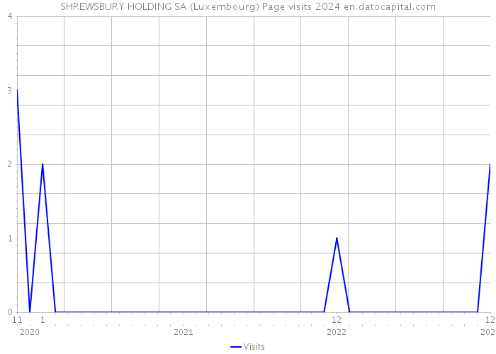 SHREWSBURY HOLDING SA (Luxembourg) Page visits 2024 