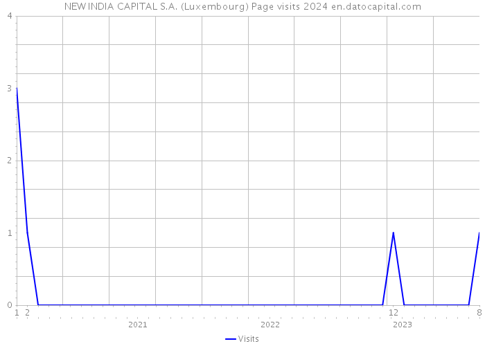 NEW INDIA CAPITAL S.A. (Luxembourg) Page visits 2024 