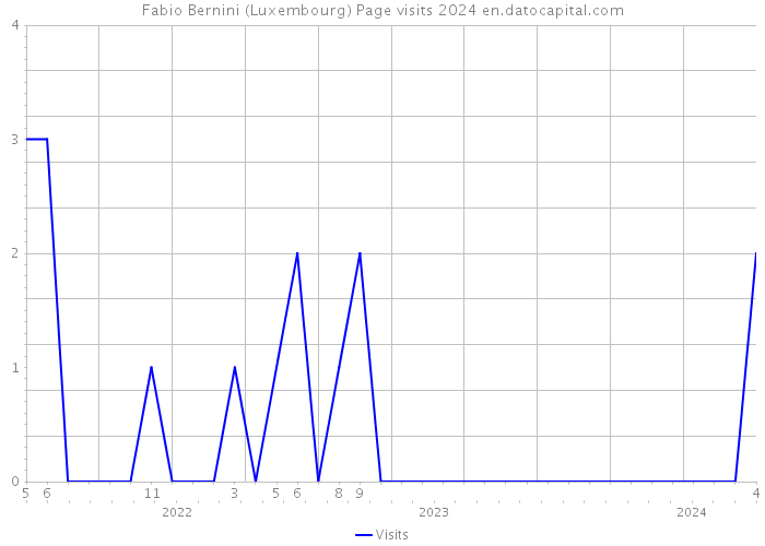Fabio Bernini (Luxembourg) Page visits 2024 