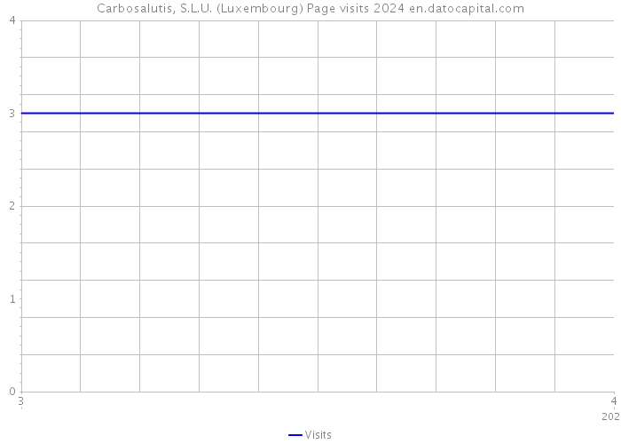 Carbosalutis, S.L.U. (Luxembourg) Page visits 2024 