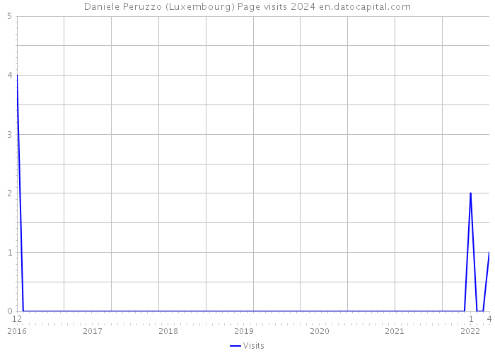 Daniele Peruzzo (Luxembourg) Page visits 2024 