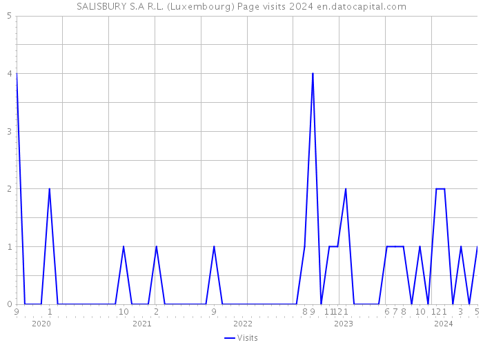 SALISBURY S.A R.L. (Luxembourg) Page visits 2024 