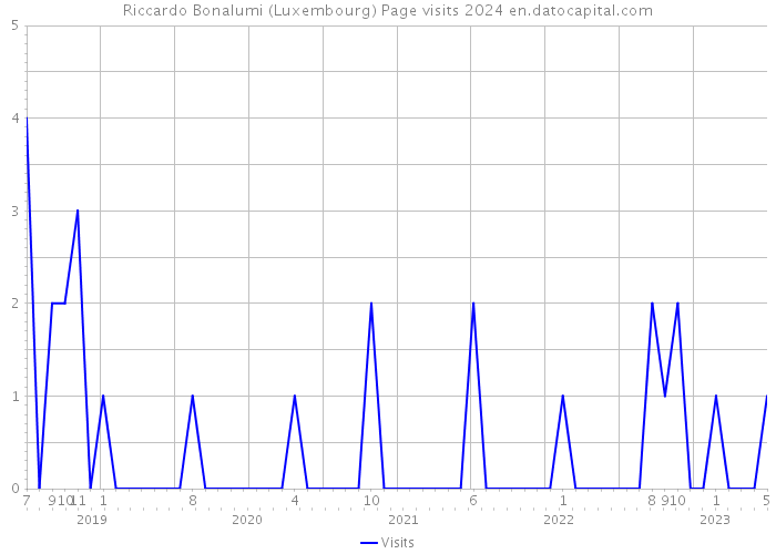 Riccardo Bonalumi (Luxembourg) Page visits 2024 