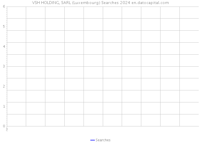 VSH HOLDING, SARL (Luxembourg) Searches 2024 