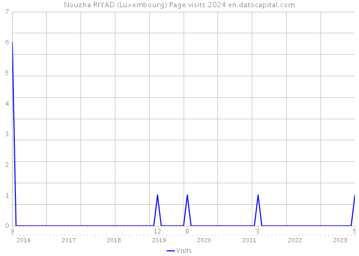 Nouzha RIYAD (Luxembourg) Page visits 2024 