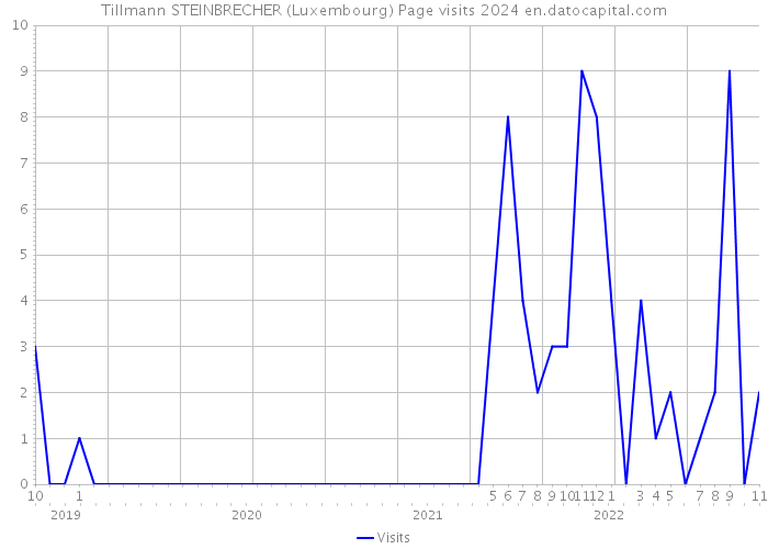Tillmann STEINBRECHER (Luxembourg) Page visits 2024 