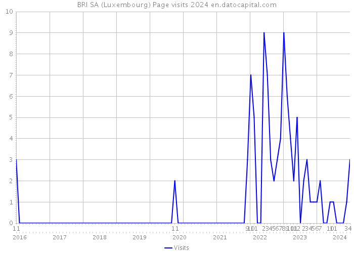 BRI SA (Luxembourg) Page visits 2024 