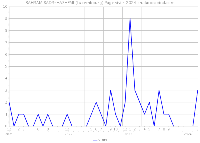BAHRAM SADR-HASHEMI (Luxembourg) Page visits 2024 