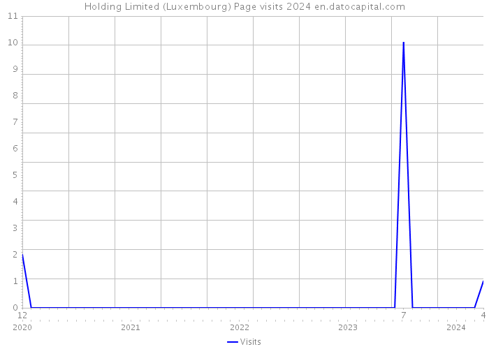 Holding Limited (Luxembourg) Page visits 2024 