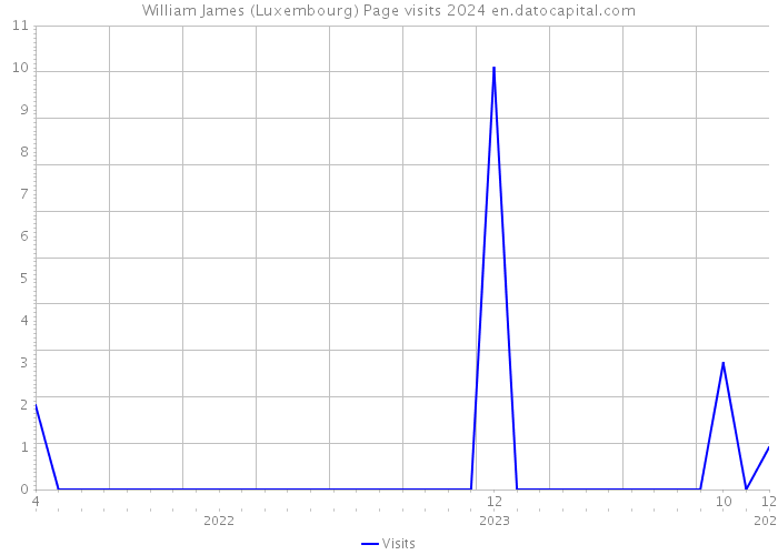 William James (Luxembourg) Page visits 2024 