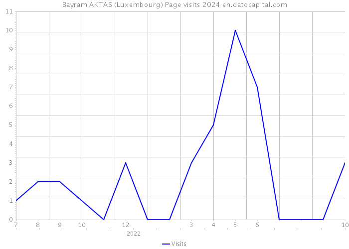 Bayram AKTAS (Luxembourg) Page visits 2024 