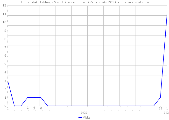 Tourmalet Holdings S.à r.l. (Luxembourg) Page visits 2024 