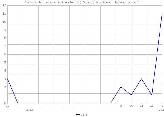 Markus Hannebauer (Luxembourg) Page visits 2024 