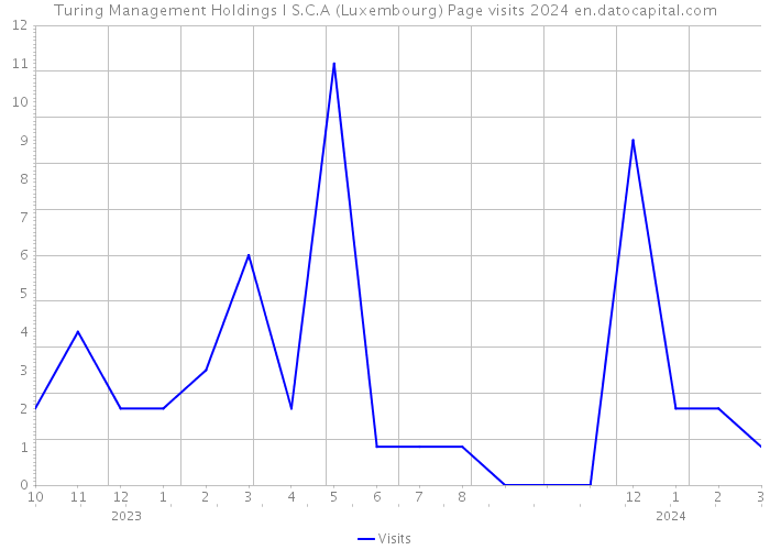 Turing Management Holdings I S.C.A (Luxembourg) Page visits 2024 
