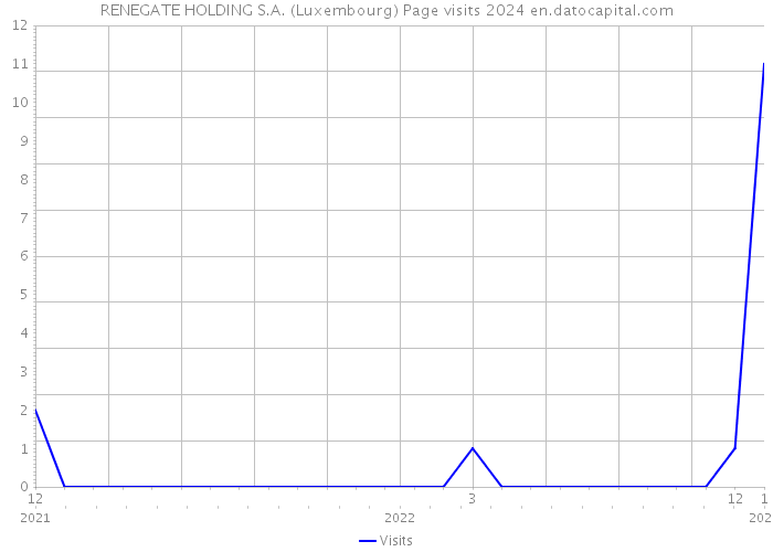 RENEGATE HOLDING S.A. (Luxembourg) Page visits 2024 