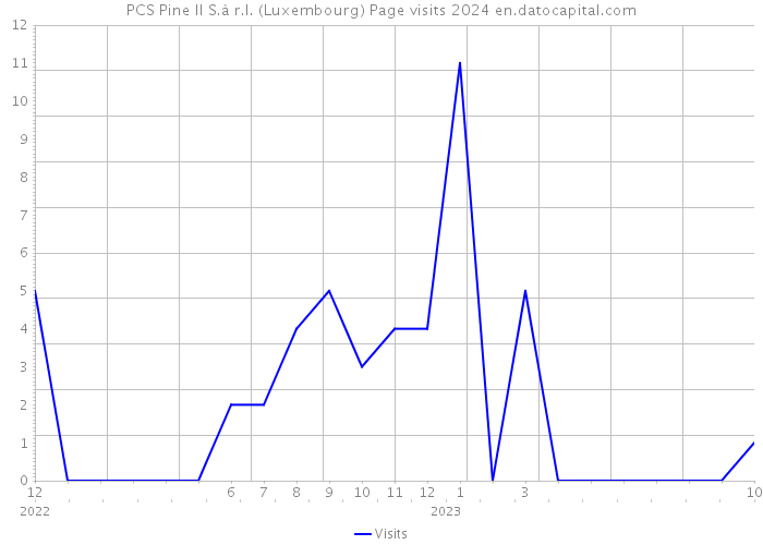 PCS Pine II S.à r.l. (Luxembourg) Page visits 2024 