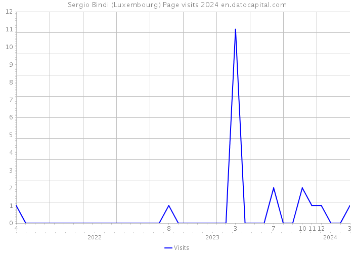 Sergio Bindi (Luxembourg) Page visits 2024 