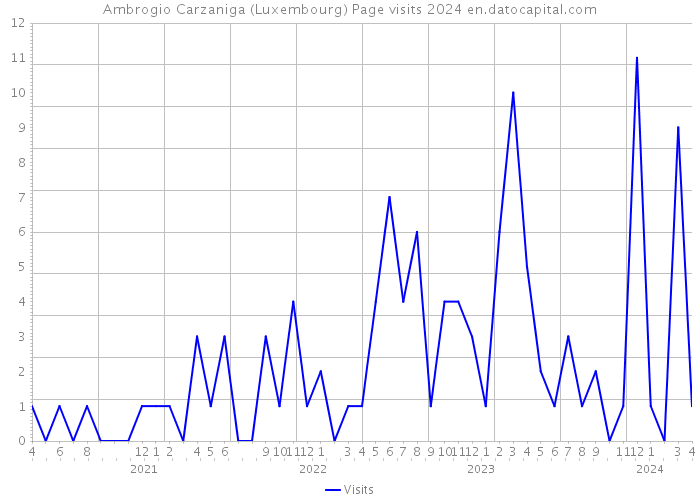 Ambrogio Carzaniga (Luxembourg) Page visits 2024 