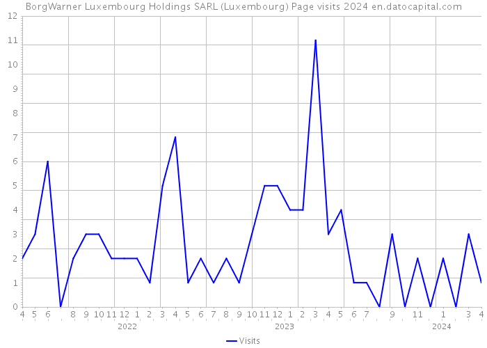 BorgWarner Luxembourg Holdings SARL (Luxembourg) Page visits 2024 
