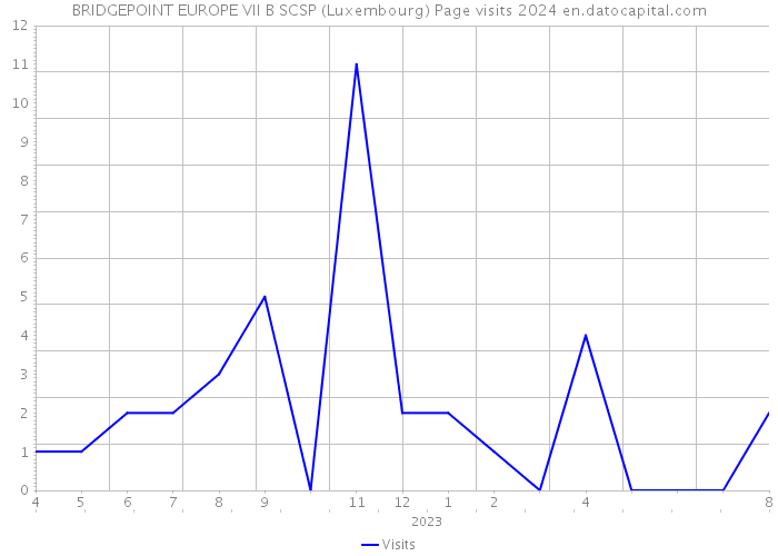 BRIDGEPOINT EUROPE VII B SCSP (Luxembourg) Page visits 2024 