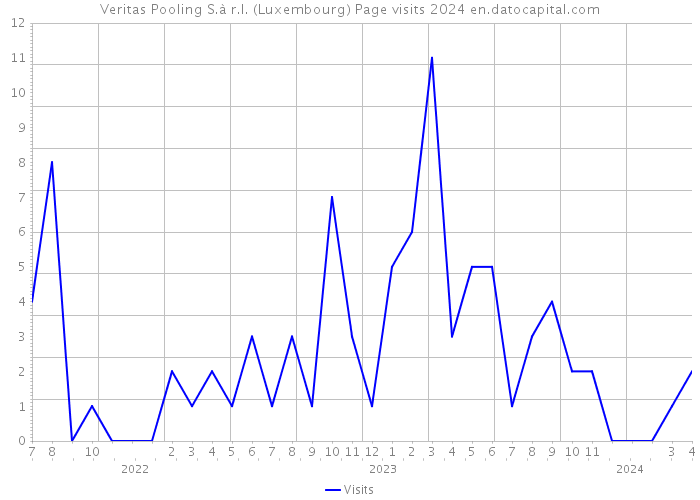 Veritas Pooling S.à r.l. (Luxembourg) Page visits 2024 
