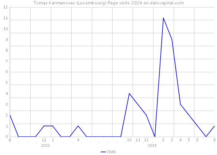 Tomas Karmanovas (Luxembourg) Page visits 2024 