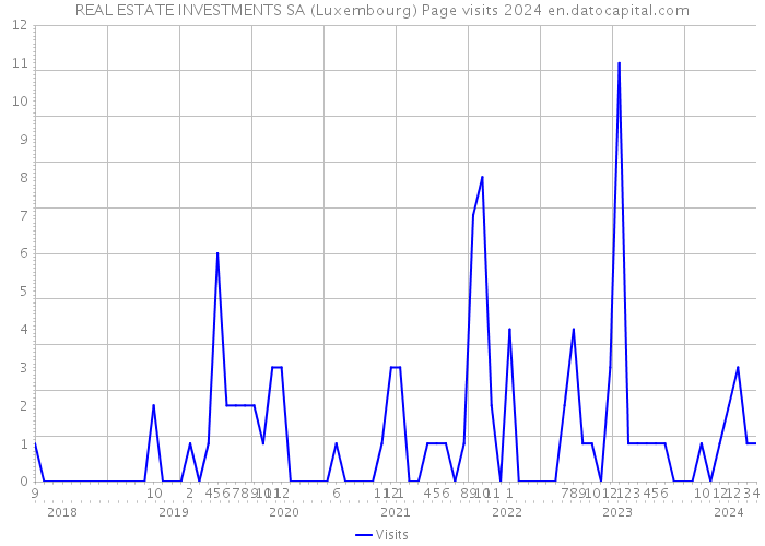 REAL ESTATE INVESTMENTS SA (Luxembourg) Page visits 2024 