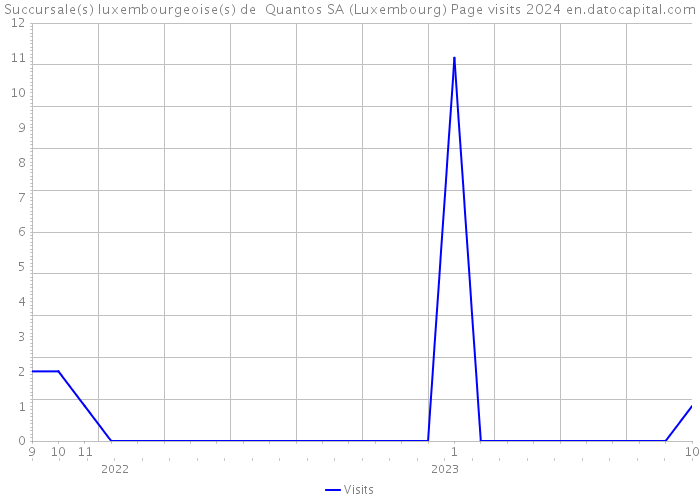 Succursale(s) luxembourgeoise(s) de Quantos SA (Luxembourg) Page visits 2024 
