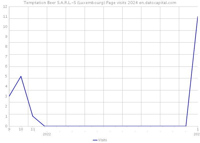 Temptation Beer S.A.R.L.-S (Luxembourg) Page visits 2024 